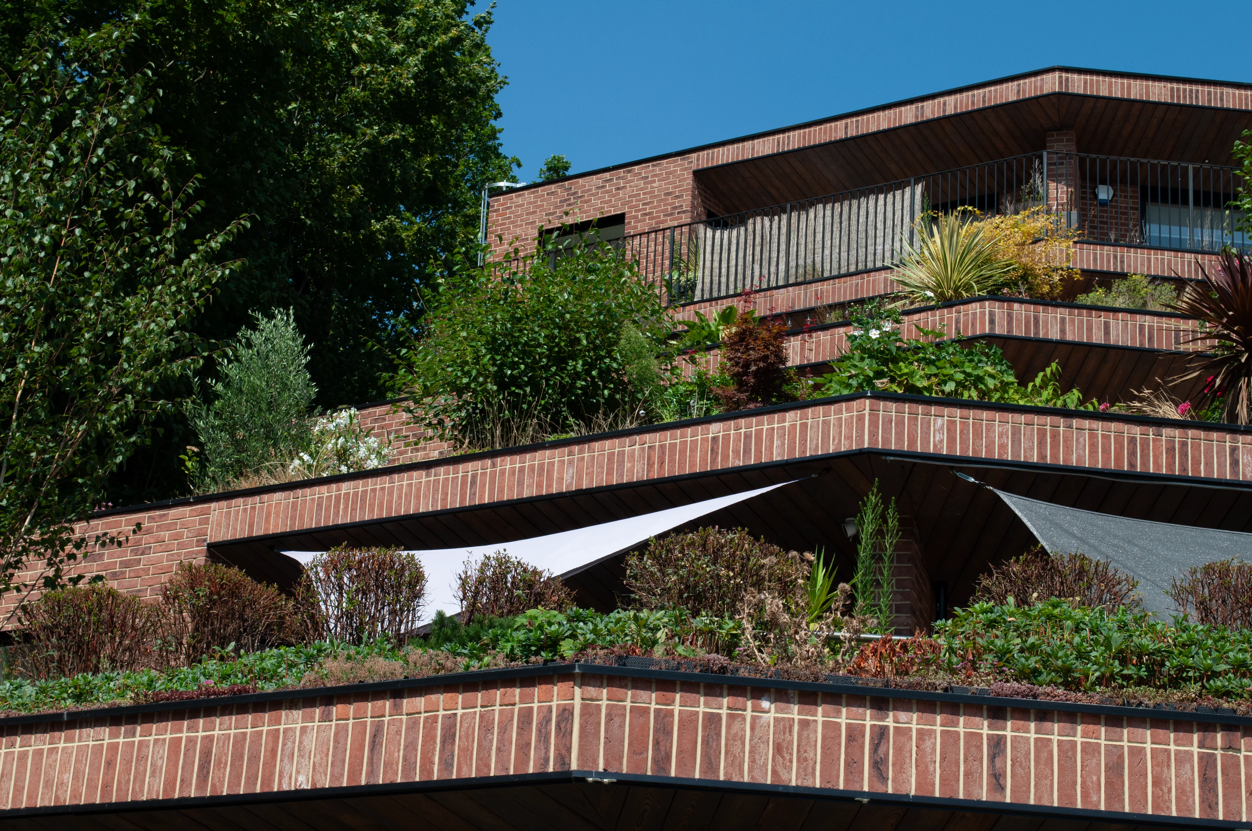 Green Valley — Croydon, London, photo 2